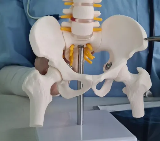 Complete Hip Replacement delhi