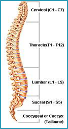 Spine and Joints Care